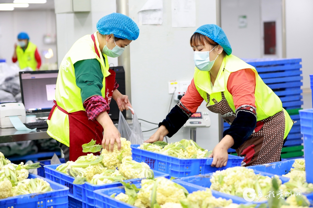 【高清组图】遵义汇川:&ldquo;智慧对接&rdquo; 农产品更畅销